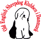 Old English Sheepdog Klubben i Danmark