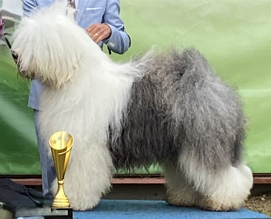 Enchant Kingsize Of Love